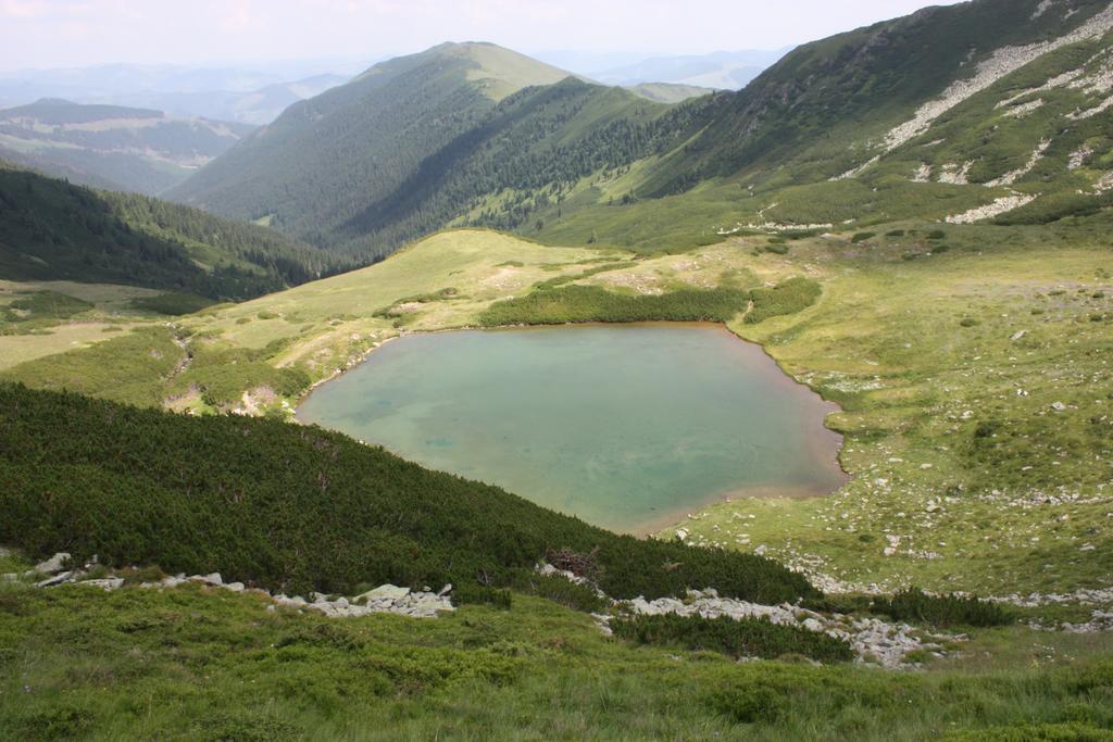 Готель Perla Padurii Valea Mare  Екстер'єр фото